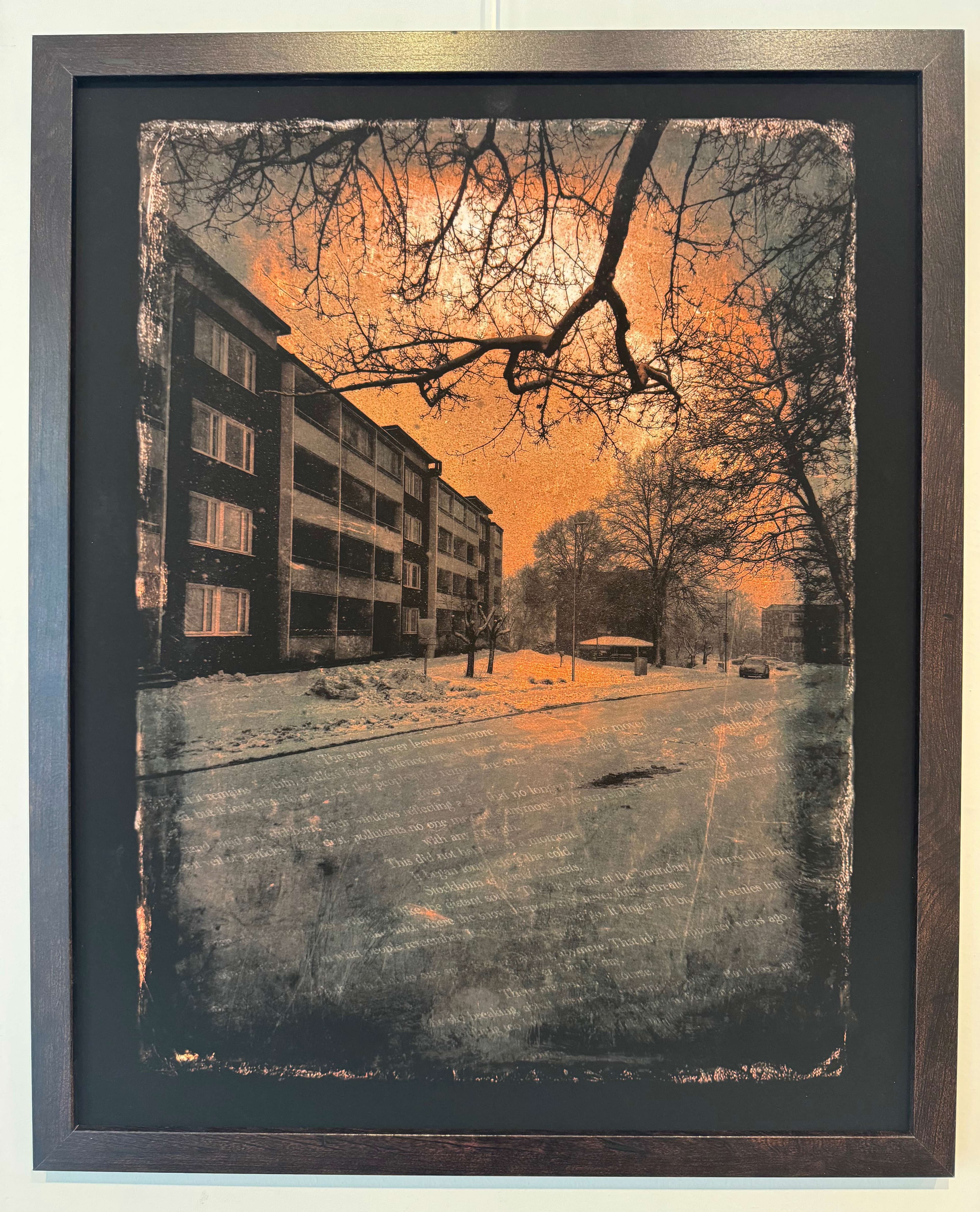 Light of the North av Emely Fleur – Galleri Risberg