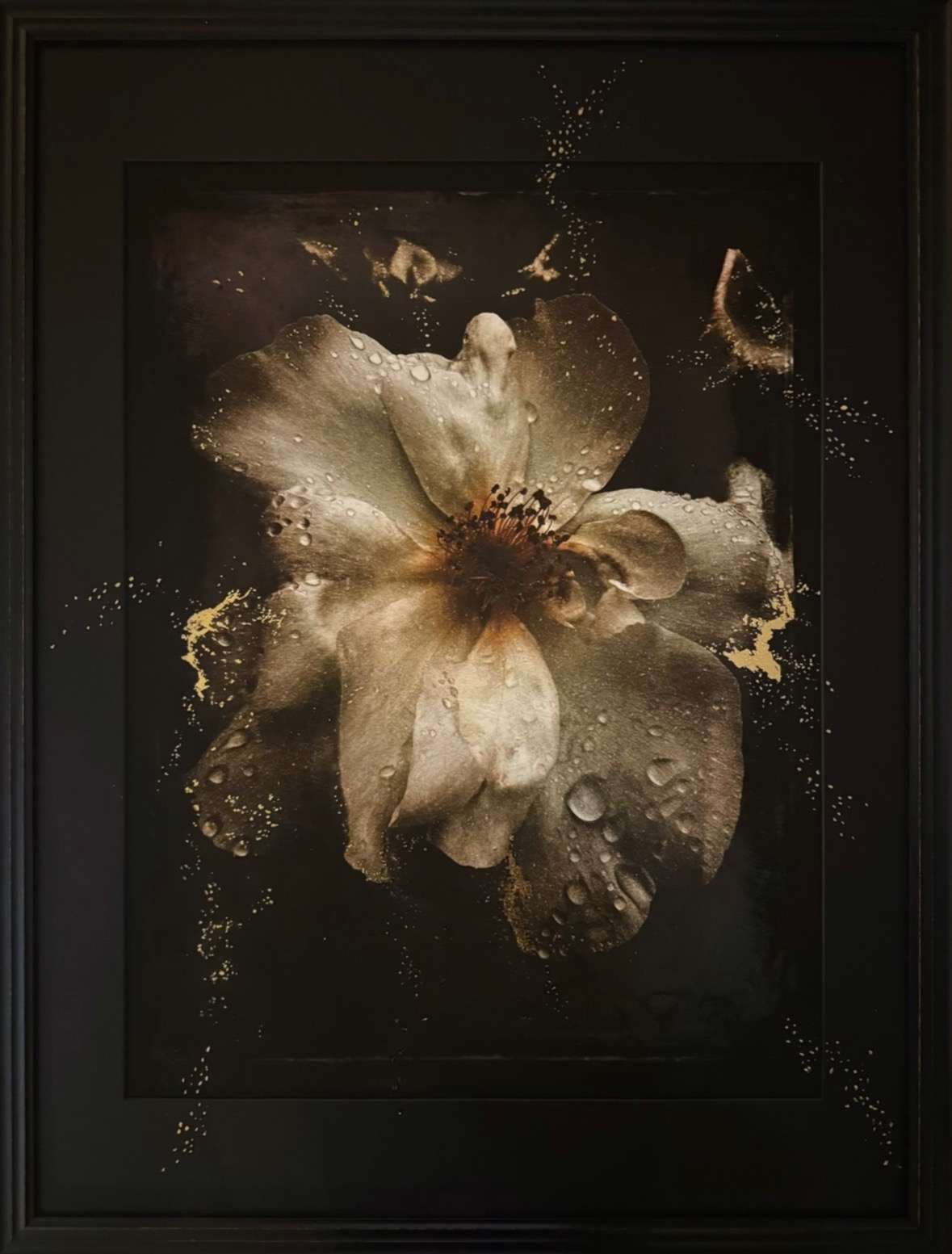 Innocent as morning dew av Emely Fleur – Galleri Risberg