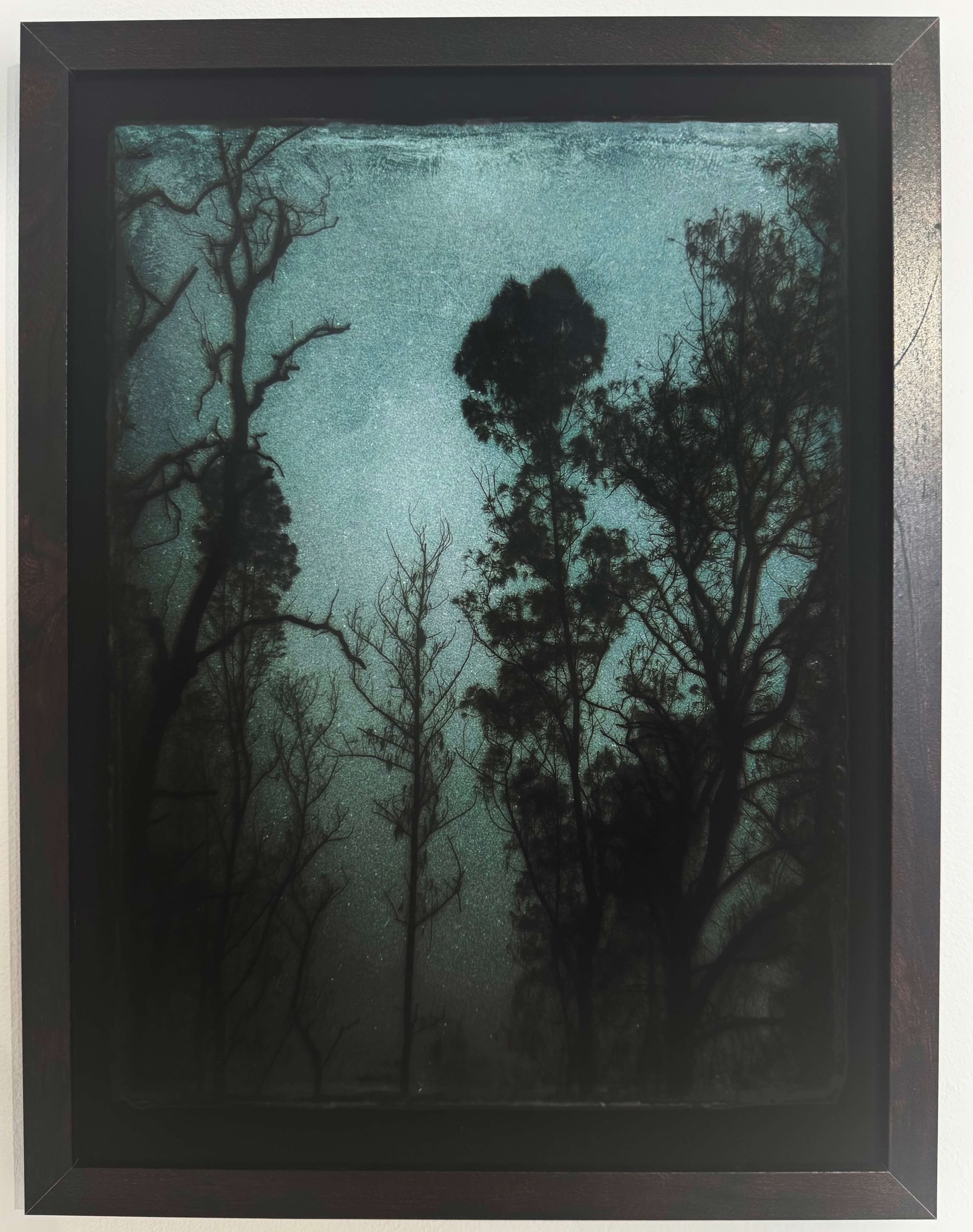 Blue Forest av Emely Fleur – Galleri Risberg