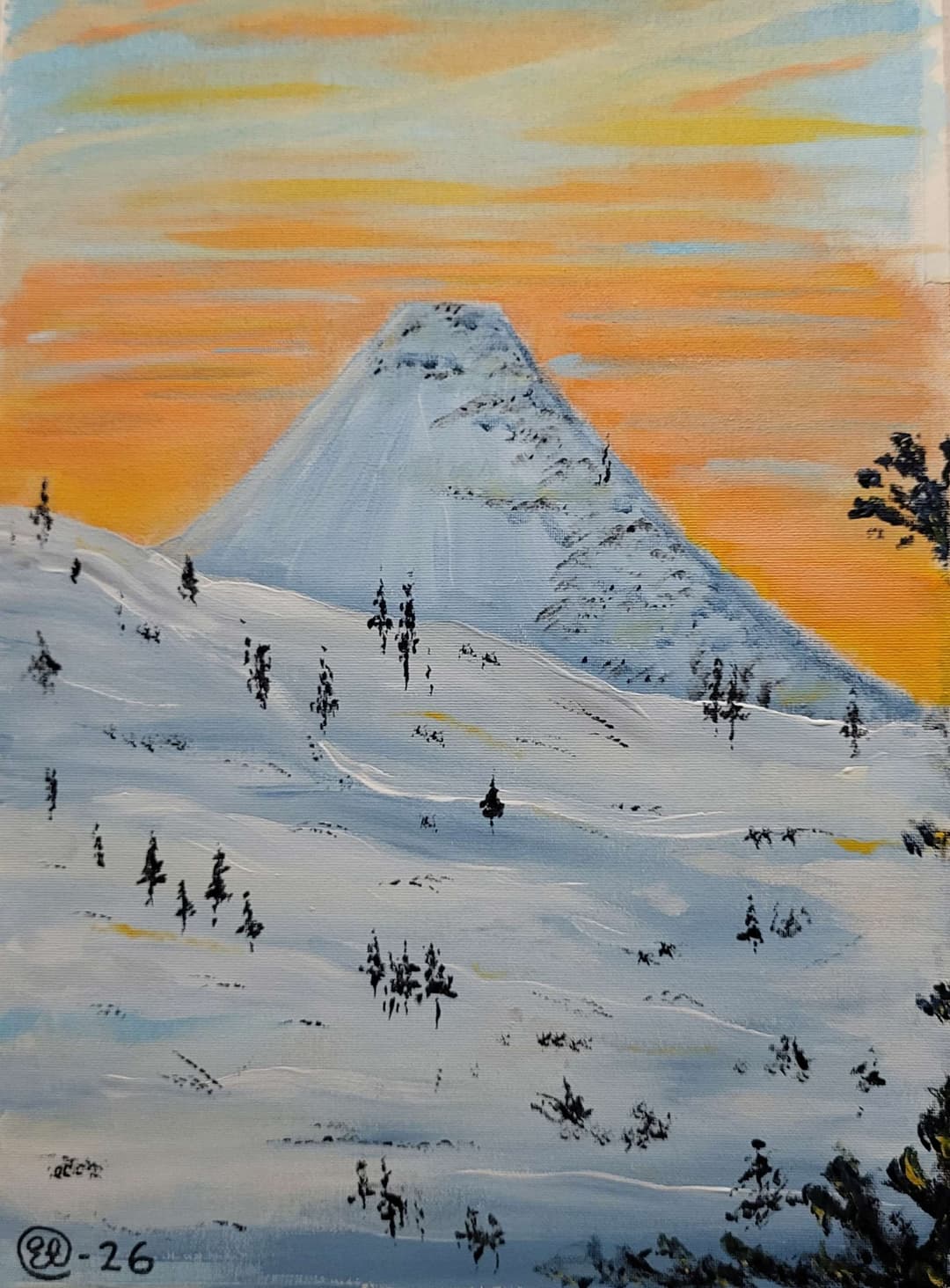 Städjan Nipfjället Dalarna