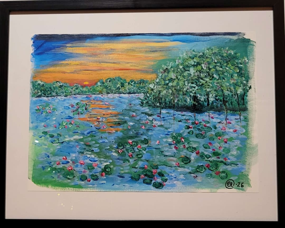 My waterlillies