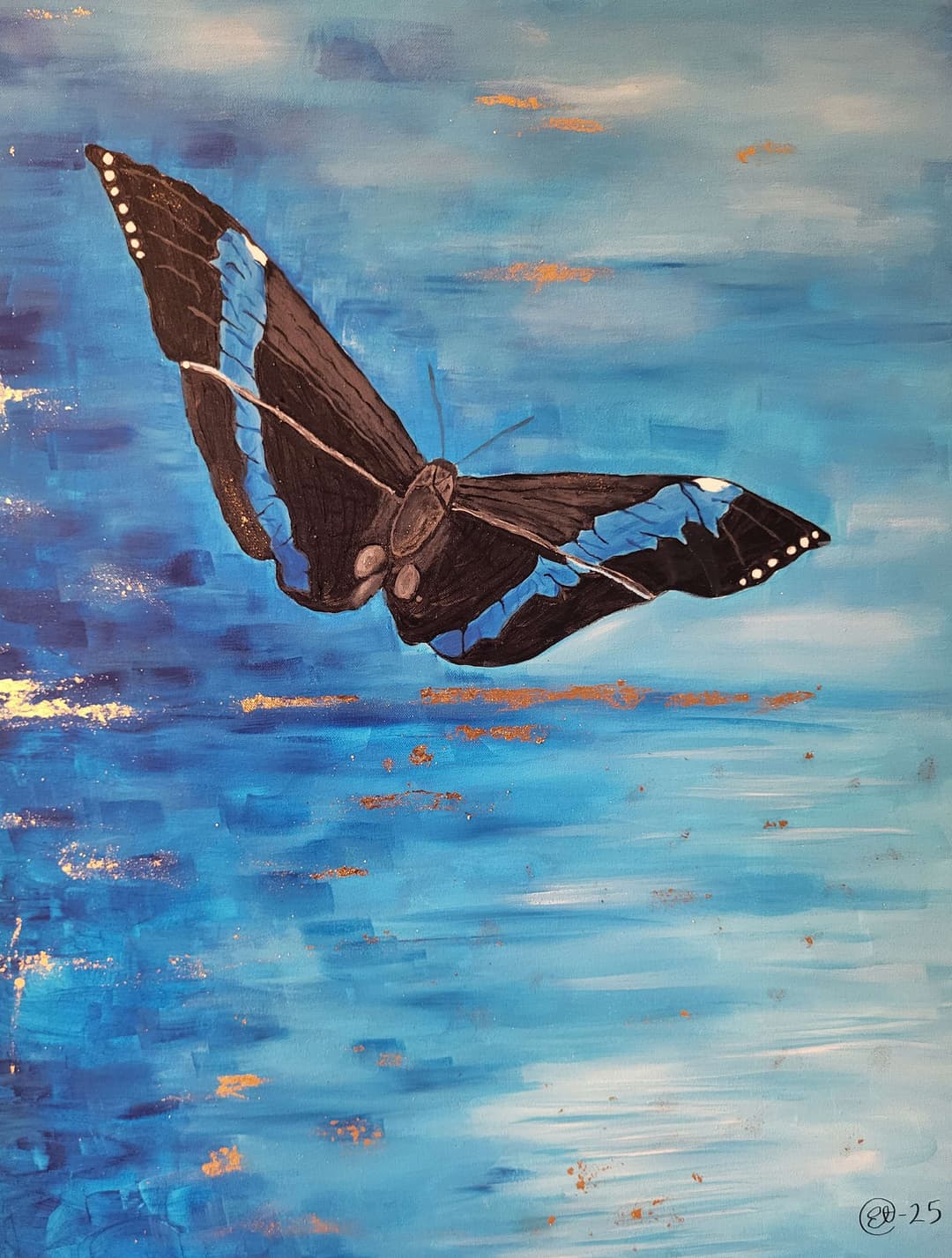 Morpho Acilles